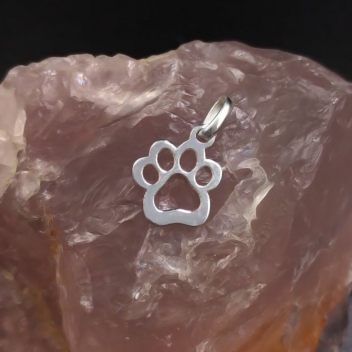 PINGENTE PATINHA PET