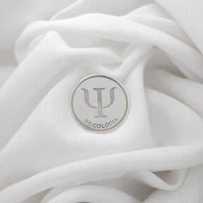 BROCHE DE PRATA CURSO ACADÊMICO