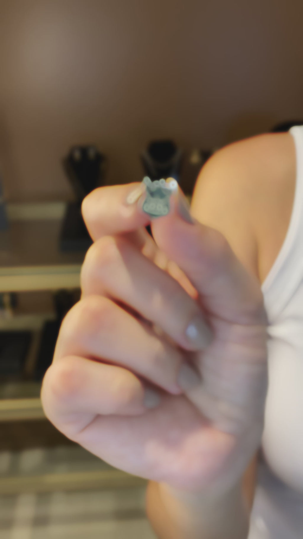 BRINCO PORCO GOBATTO PALMEIRAS LICENCIADO PREMIUM